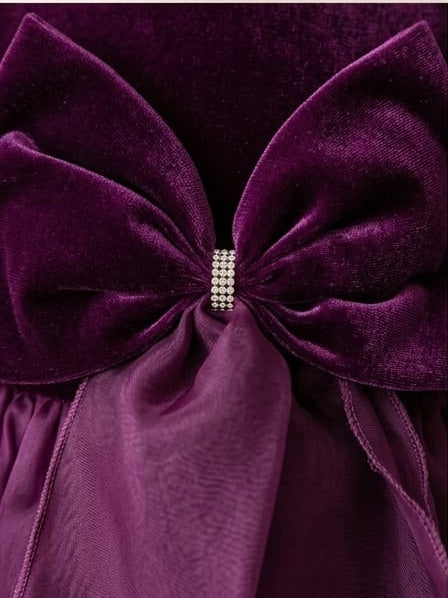 Wine Bow Designer Dress